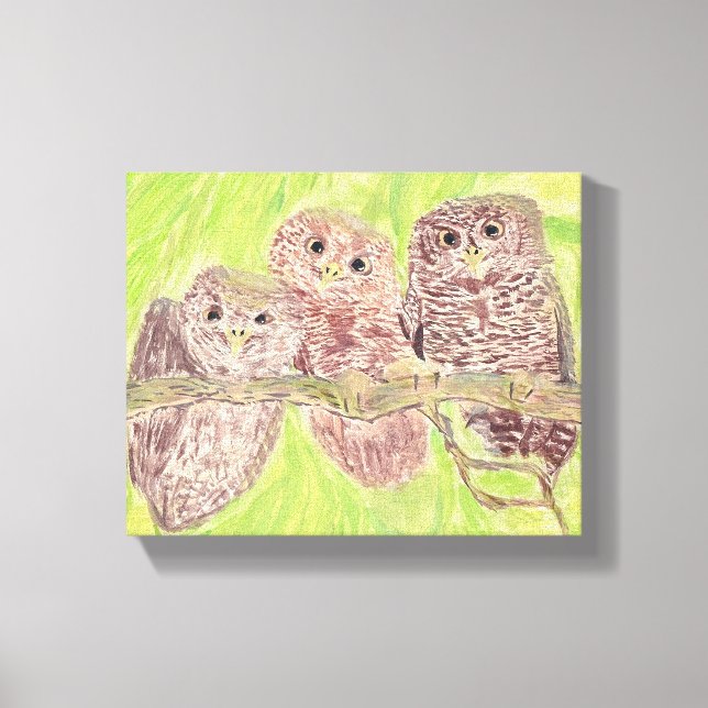 Three Little Scowling Owls - acrylic painting.     Canvas Print (Front)