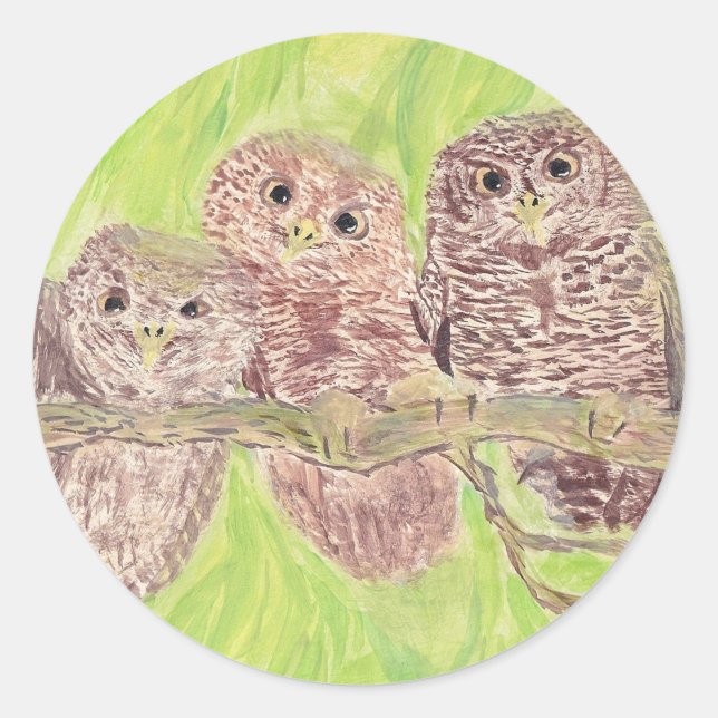 Three Little Scowling Owls - acrylic painting. Classic Round Sticker (Front)