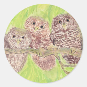 Three Little Scowling Owls - acrylic painting. Classic Round Sticker