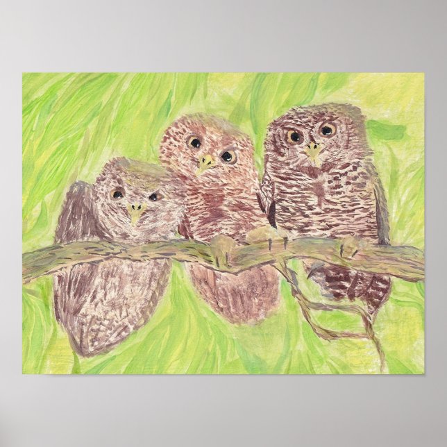 Three Little Scowling Owls - acrylic painting.    Poster (Front)