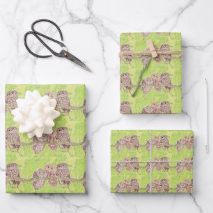 Three Little Scowling Owls - acrylic painting. Wrapping Paper Sheet