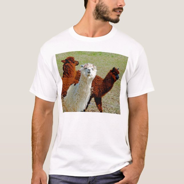 Three Llamas T-Shirt (Front)