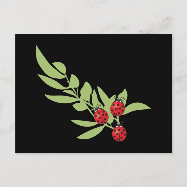 Three Lucky Ladybugs Postcard (Front)