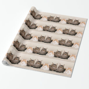 Three Maine Coon Cats Wrapping Paper