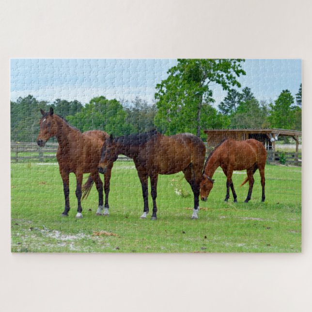 Three Majestic Horses  Jigsaw Puzzle (Horizontal)