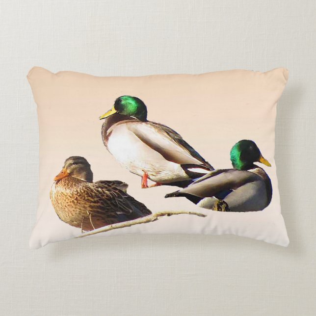 Three Mallard Ducks Accent Pillow (Front)