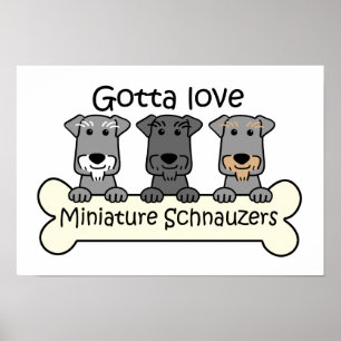 Three Miniature Schnauzers Poster