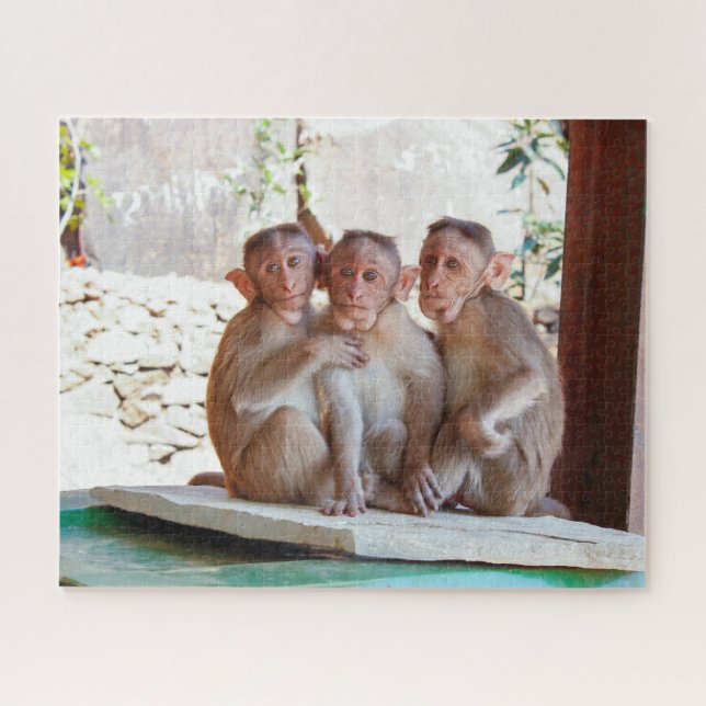 Three Monkeys Together Wildlife Jigsaw Puzzle (Horizontal)