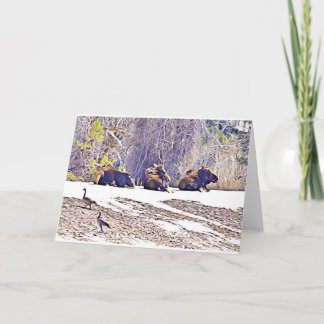 Three Moose, notecard