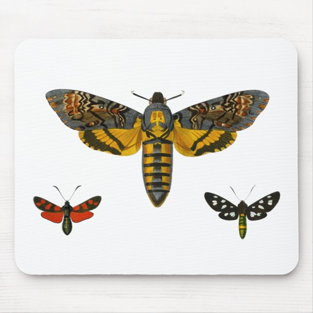 Three Moth Wings Illustration Mouse Mat (Front)