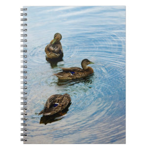 Three  Notebook
