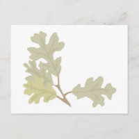 Three Oak Leaves Fall Wedding Autumn Weddings