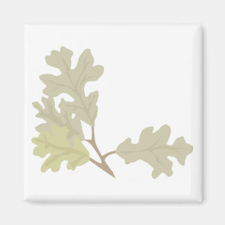 Three Oak Leaves Magnet