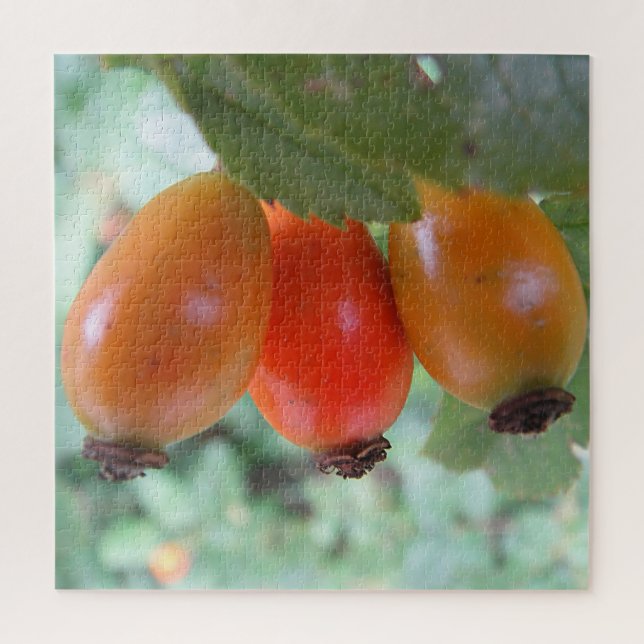 Three orange rosehips jigsaw puzzle (Vertical)