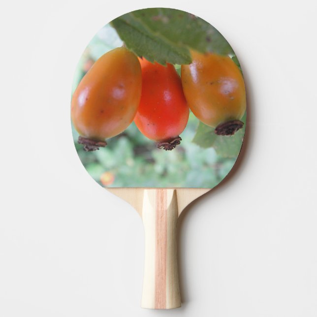 Three orange rosehips ping pong paddle (Front)