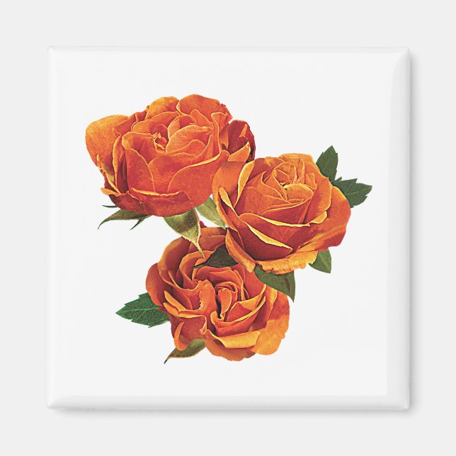 Three Orange Roses Magnet (Front)