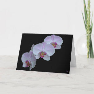 Three Orchid Greeting Cards
