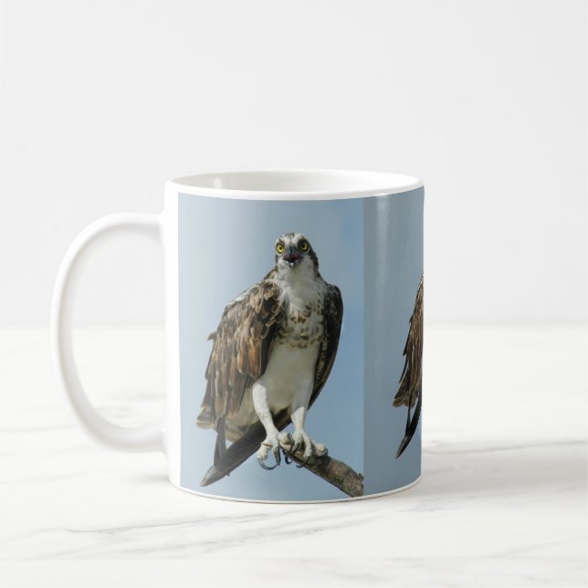 Three Osprey hawk images Coffee Mug (Left)