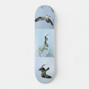Three Osprey Images Skateboard