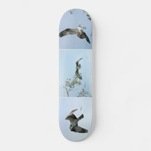 Three Osprey Images Skateboard (Front)