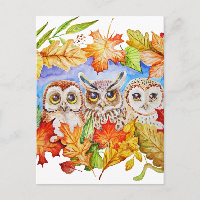 three owls autumn postcard (Front)