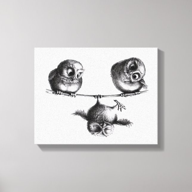 Three Owls - Freedom and Fun Canvas Print (Front)