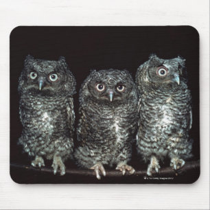 three owls mouse mat