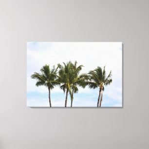 Three Palm Trees Canvas Print