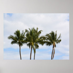 Three Palm Trees Poster