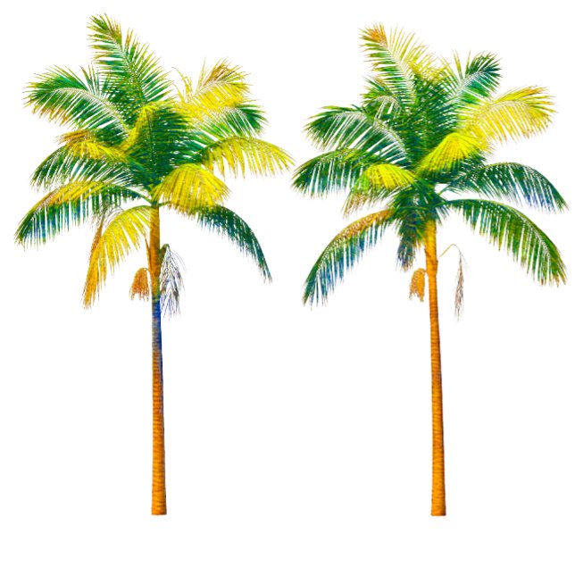 Three Palm Trees T-Shirt (Creator Uploaded)