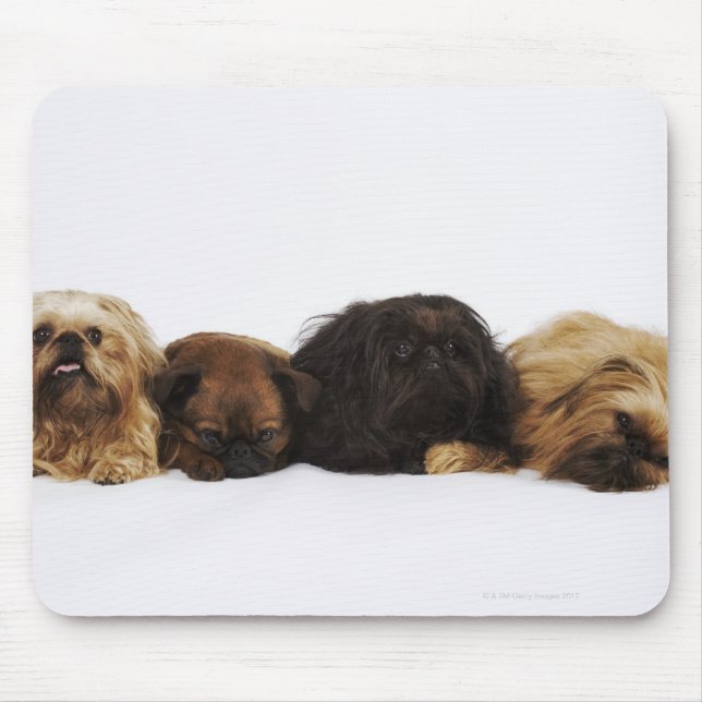 Three Pekingese dogs and single Pug lying down Mouse Mat (Front)
