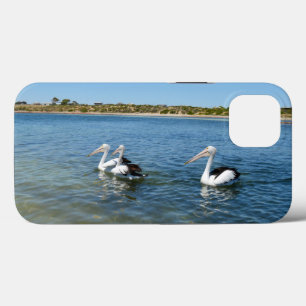 Three Pelicans Swimming, iPhone 13 Case 