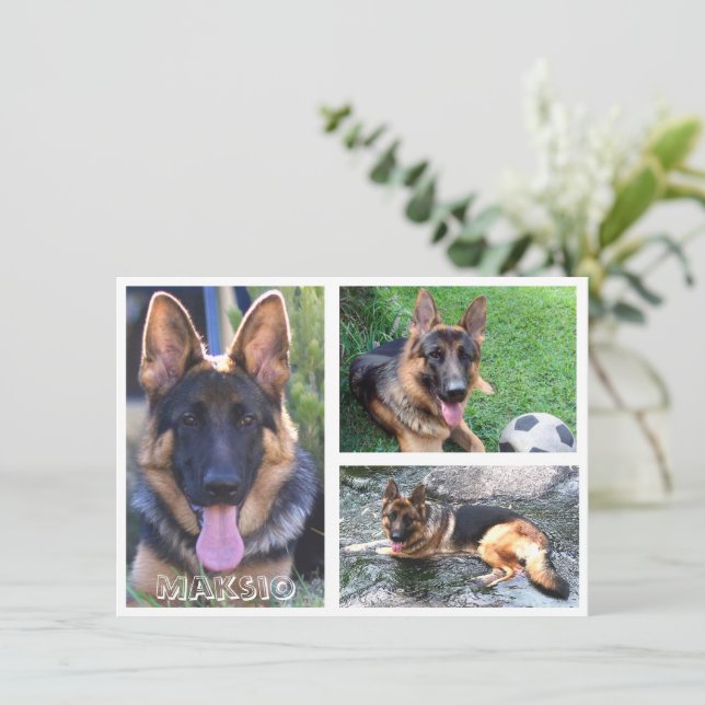 Three Photo And Name Card (Standing Front)