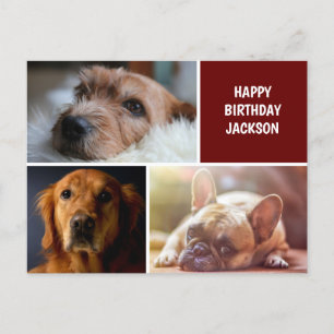 Three Photo Collage Custom Birthday Postcard
