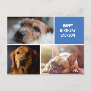 Three Photo Collage Custom Birthday Postcard