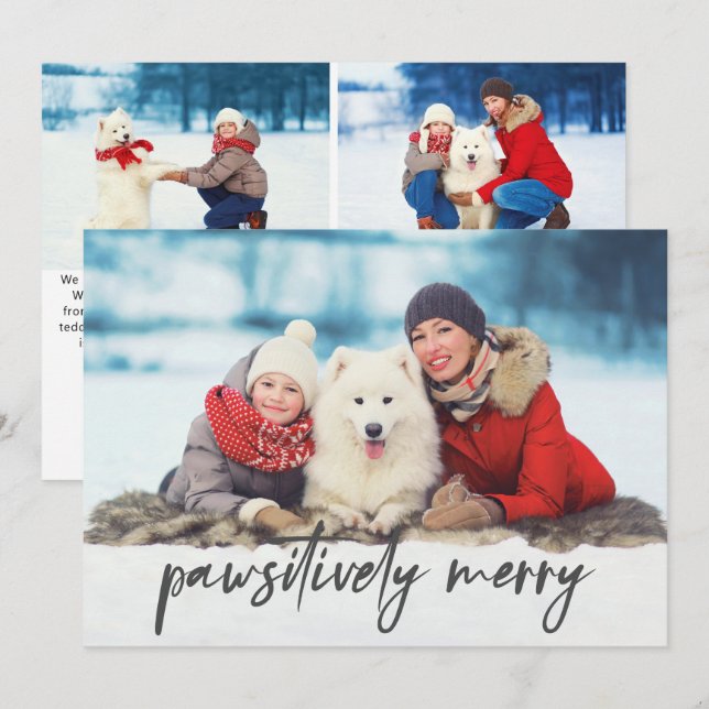 Three Photo Pet Saying Pawsitively Merry Holiday Card (Front/Back)