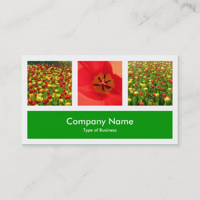 Three Photos Plus One - Grass Green Business Card (Front)