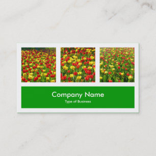 Three Photos Plus One - Grass Green Business Card