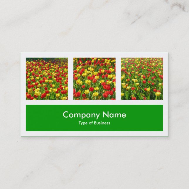 Three Photos Plus One - Grass Green Business Card (Front)