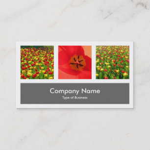 Three Photos Plus One - Grey Business Card