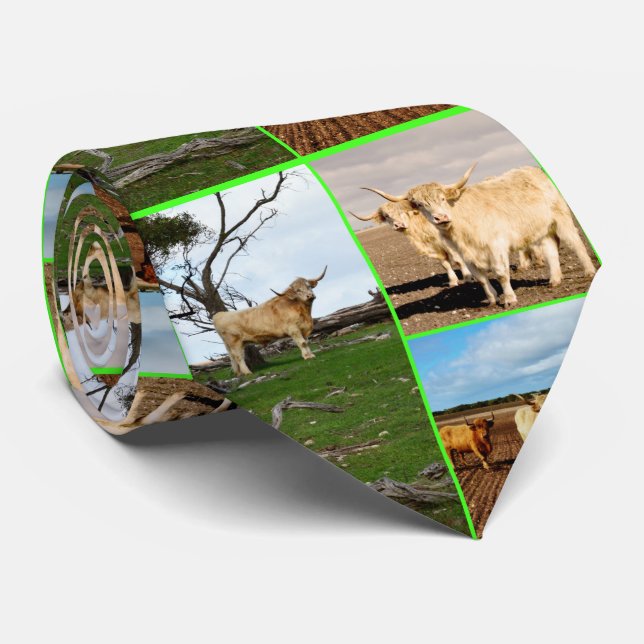 Three Picture Highland Cow Collage, Tie (Rolled)