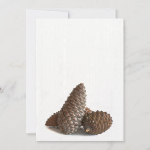 Three pinecones