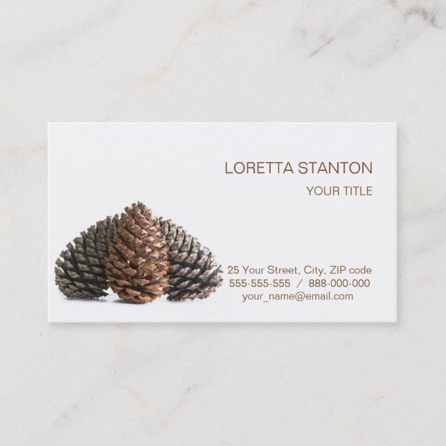 Three pinecones business card (Front)