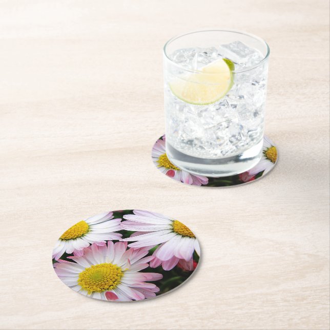 Three pink and white daisies round paper coaster (Insitu)