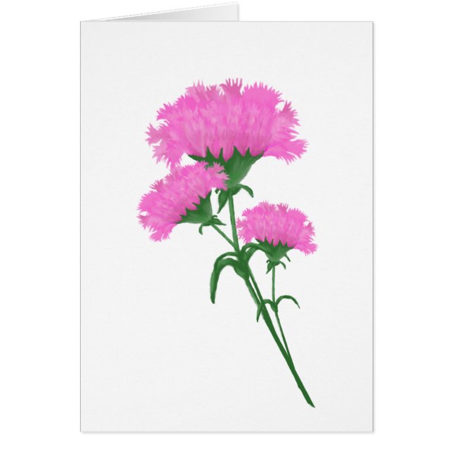 Three Pink Carnations Stationary any purpose (Front)