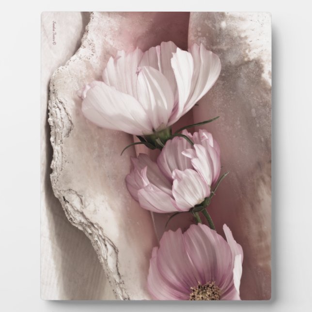 Three Pink Cosmos Plaque (Front)
