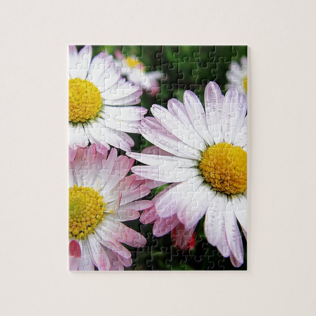 Three pink daisies jigsaw puzzle (Vertical)