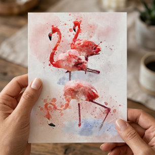 Three Pink Flamingos  in Watercolor Art Print Postcard