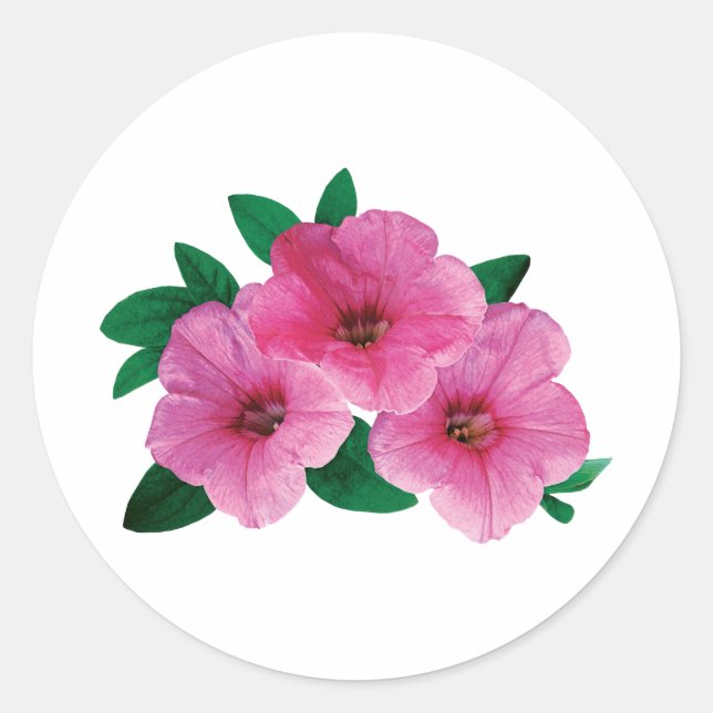 Three Pink Petunias Classic Round Sticker (Front)