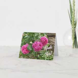 Three Pink Roses/Thank You! Note Card